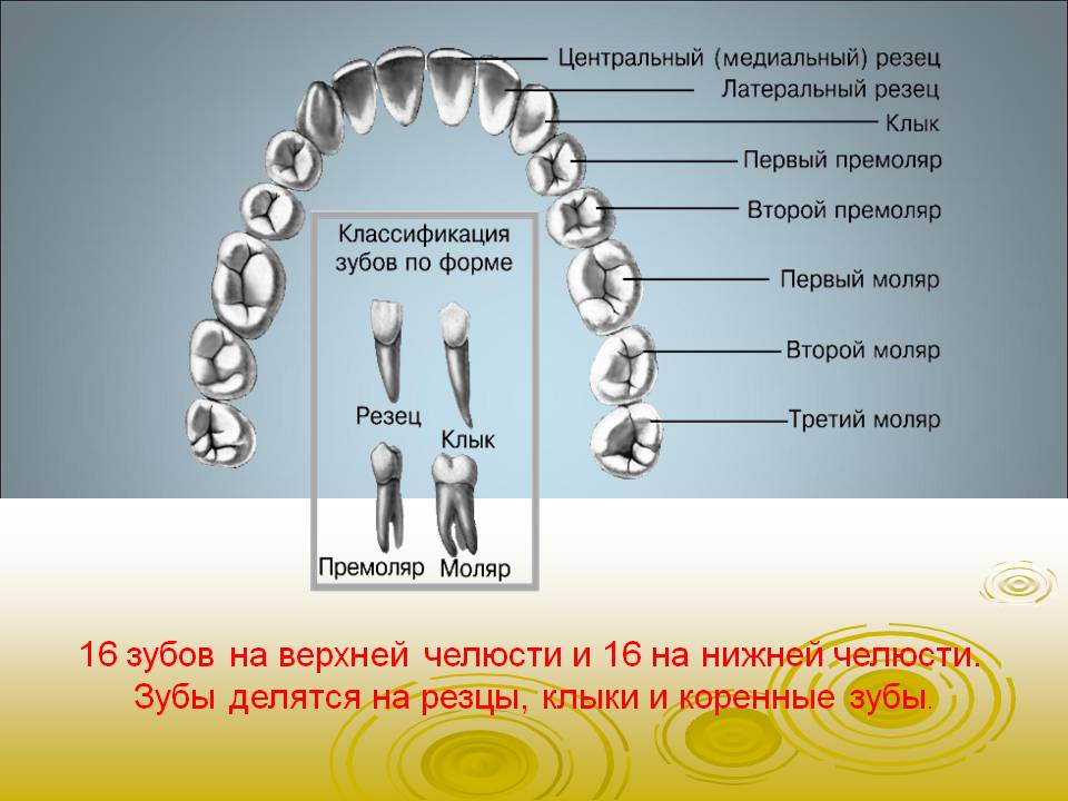 bajsakova_sofiya_05