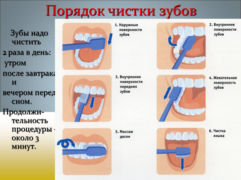bajsakova_sofiya_19